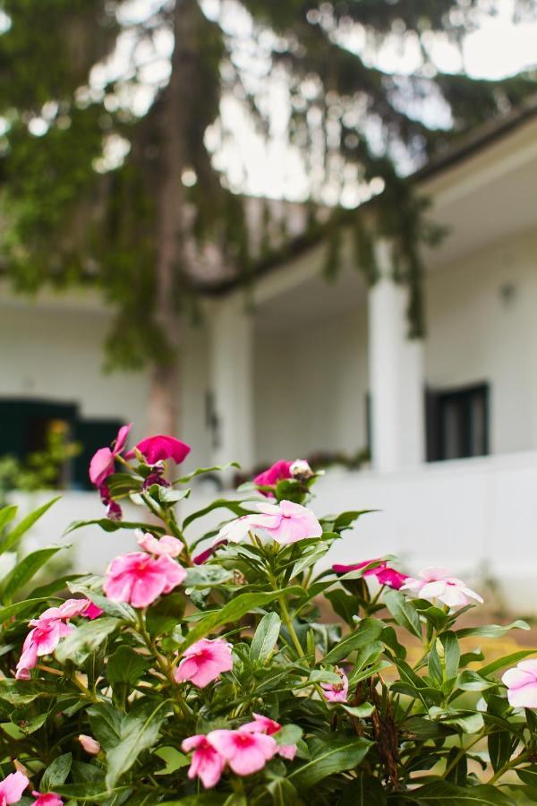 Vadrozsa Vendeghaz Racalmas Guest House ภายนอก รูปภาพ