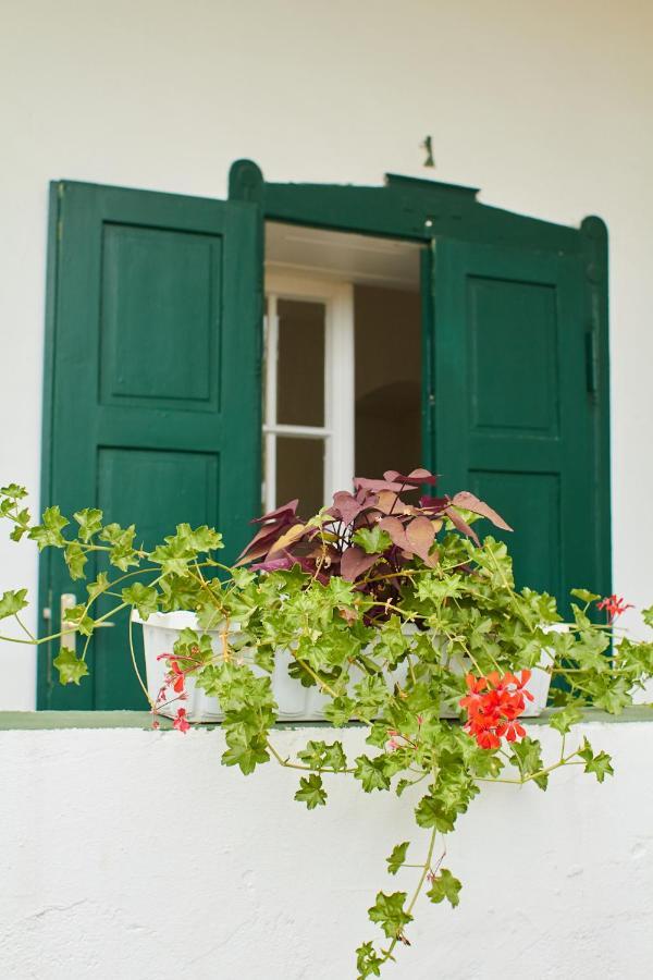 Vadrozsa Vendeghaz Racalmas Guest House ภายนอก รูปภาพ