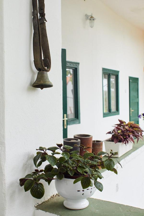 Vadrozsa Vendeghaz Racalmas Guest House ภายนอก รูปภาพ